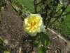 img_0800_small.jpg