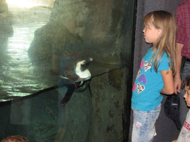 img_0951.jpg