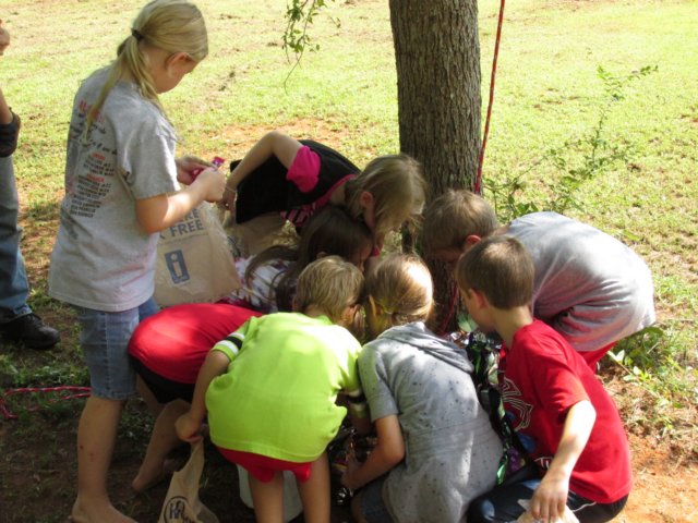 img_1093.jpg