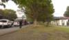 z3imag0266_small.jpg