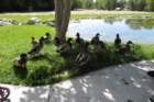 utahsept20160860_small.jpg