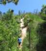 utahjune20171820_small.jpg