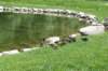 utahmay20160410_small.jpg