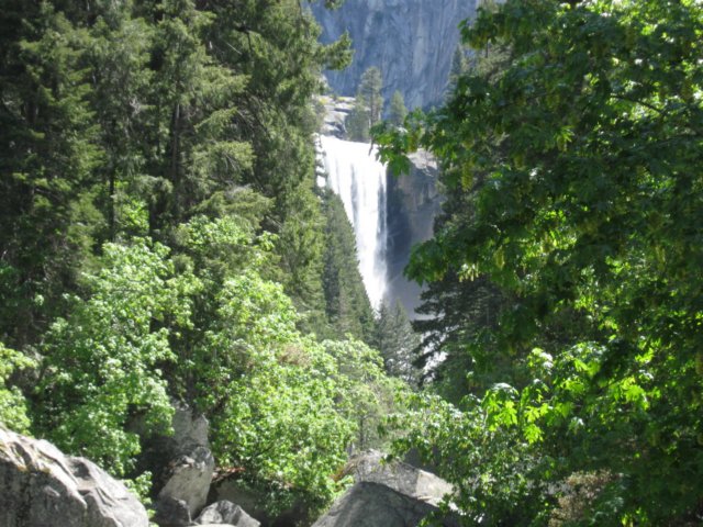 img_7995.jpg