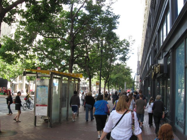 img_8392.jpg