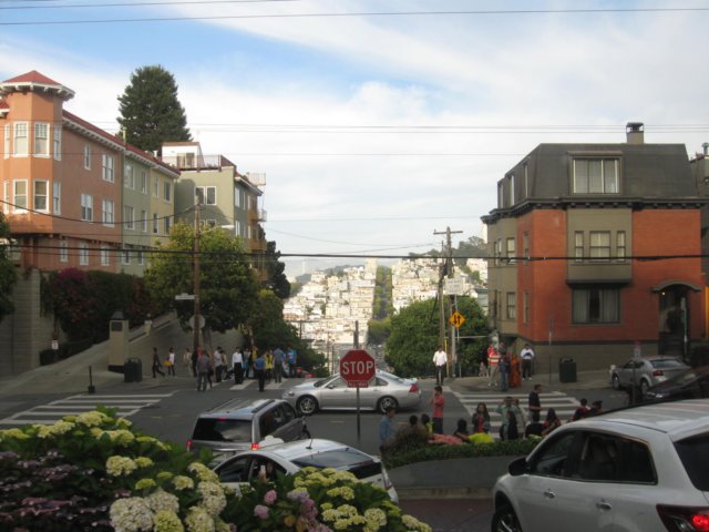 img_8441.jpg