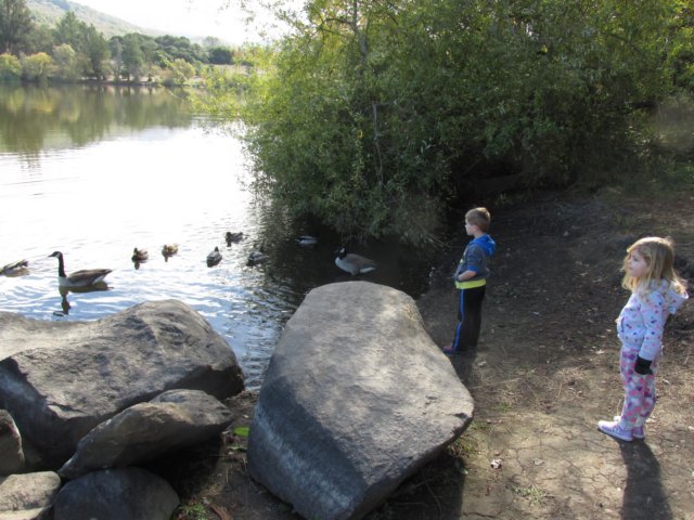zachallistaynov20150600.jpg