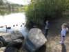 zachallistaynov20150600_small.jpg