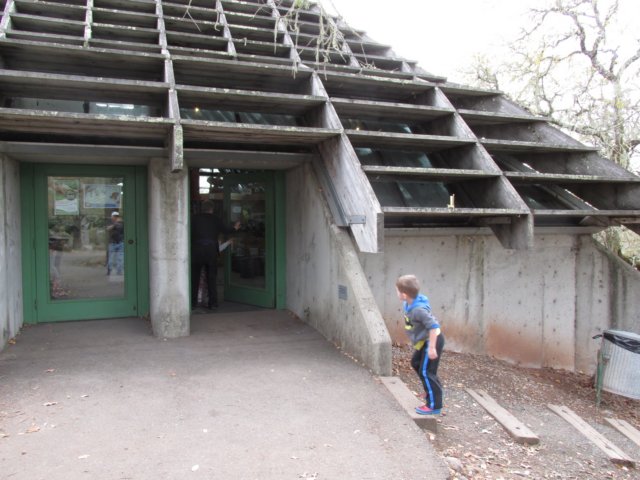 zachallistaynov20150620.jpg