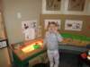 zachallistaynov20150910_small.jpg
