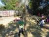 zachallistaynov20151490_small.jpg