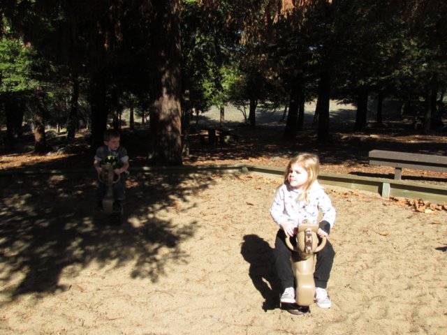 zachallistaynov20151730.jpg
