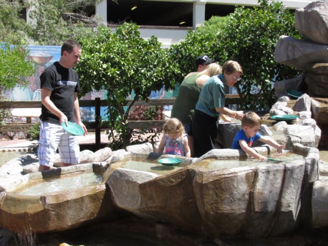 img_1206.jpg