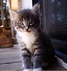 Baby Luther