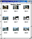 Contact Sheet