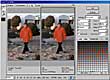 GIF Options