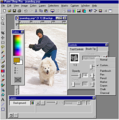 sonic.netJasc S oftware's Paint Shop sonic.netJasc S oftware's Paint Shop