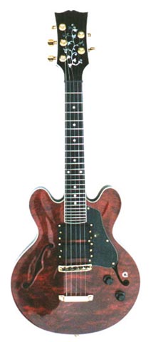 5 String Mandolin