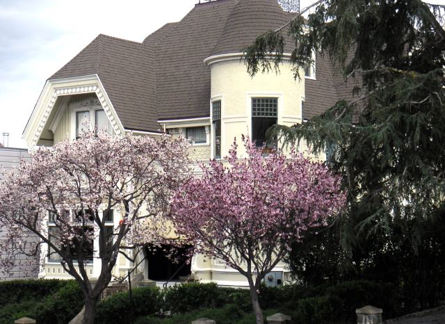 paintedhouse25