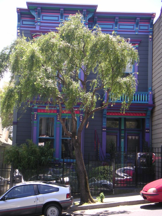 paintedhoused20