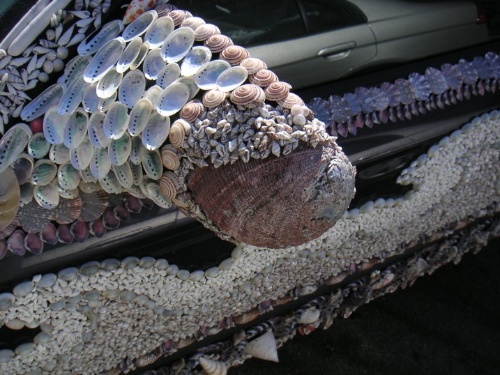 shellcar2