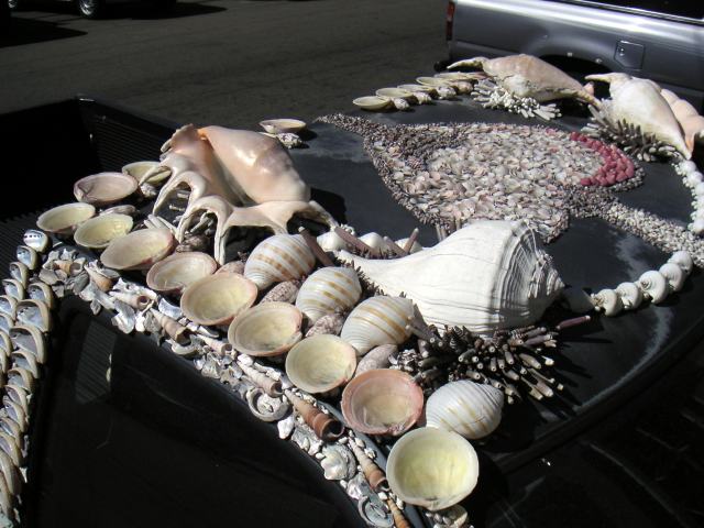 shelltruck07