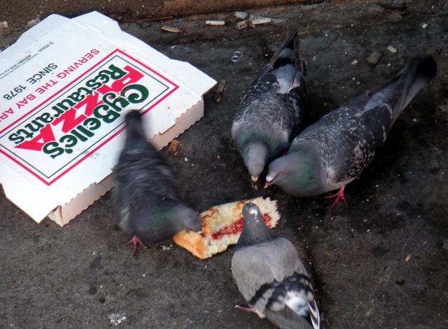yumm-cybelles-pizza