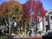 fallcolors01