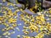 fallcolors02