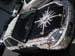 shellcar1