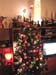 xmas-tree-24-belcher