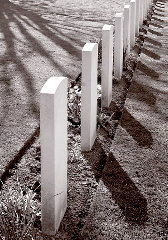 15-2004-04-11b-normandie-00bX240.jpg (20399 bytes)