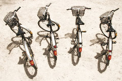 rentalbikesX240.jpg (36015 bytes)