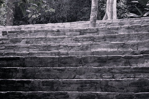 03-07a-palenque-006x480.jpg (84838 bytes)