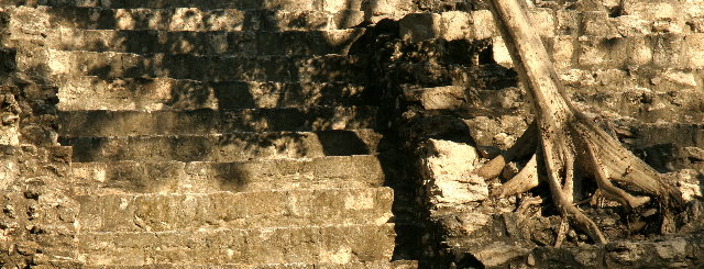 03-07c-calakmul-0022x640.JPG (97158 bytes)