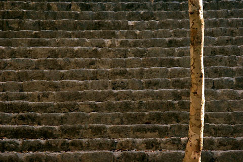 03-07c-calakmul-0028x480.jpg (83675 bytes)