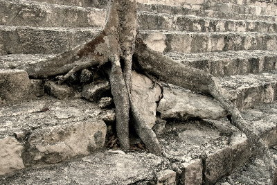 03-07c-calakmul-0048x400.JPG (72798 bytes)
