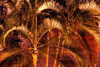 03-09e-merida-0007x400.JPG (69737 bytes)