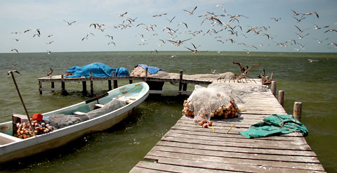 03-11a-campeche-0063cropX480.jpg (64532 bytes)