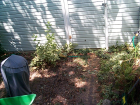 thumbs/backyard-005.png