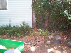 thumbs/backyard-006.png