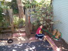 thumbs/backyard-012.png