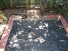 thumbs/backyard-013.png