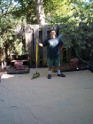 thumbs/backyard-014.png