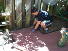 thumbs/backyard-017.png