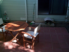 thumbs/backyard-021.png