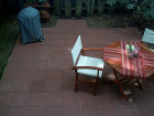 thumbs/backyard-022.png