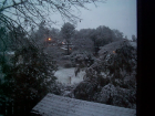 thumbs/snow_cotati_001.png