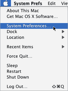 Click on the Apple
menu and select System Preferences...