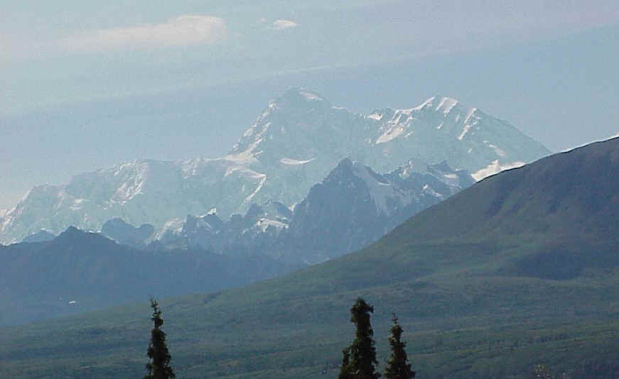 dencrop.jpg (49972 bytes)